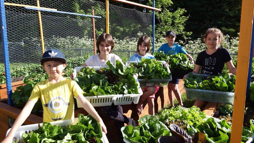 potager scolaire